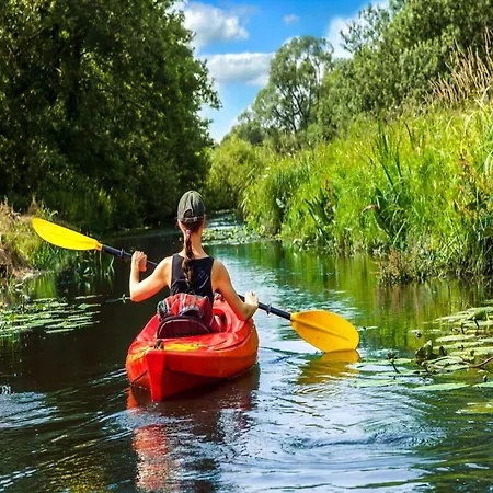 Im Mueritz-nationalpark In Mirow